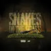 BOUNCE el diablo verde - Snakes in the Grass - Single