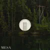 Mesa - Lincoln Bayou / Temple - Single