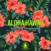 Relaxation Meditation Songs Divine - Aloha Hawaii - Welcome to Paradise, Summer Relaxation, Island Dreams, Deep Tropical Music