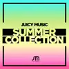 Robbie Rivera - Robbie Rivera Presents Juicy Music Summer Collection